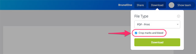 Designing on Canva - Crop and Bleed Option
